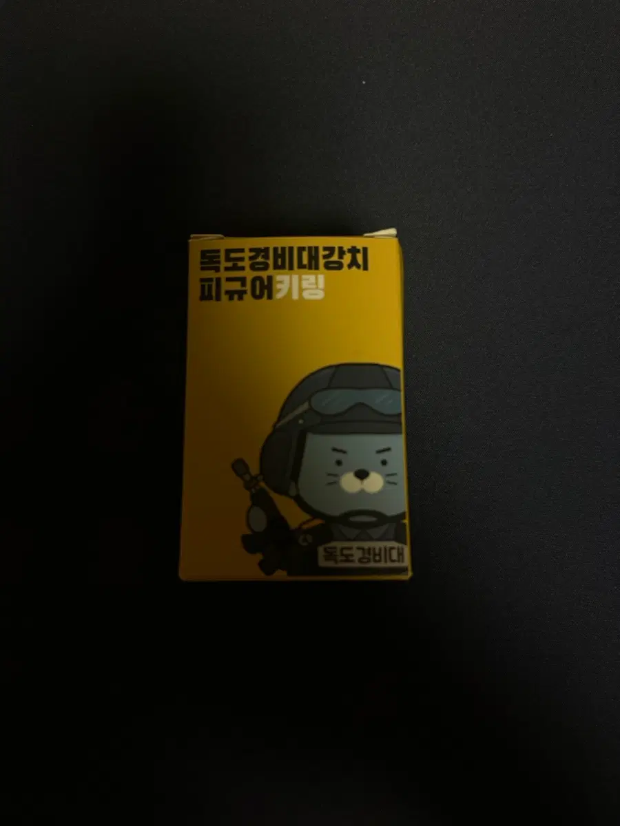 독도경비대강치피규어키링