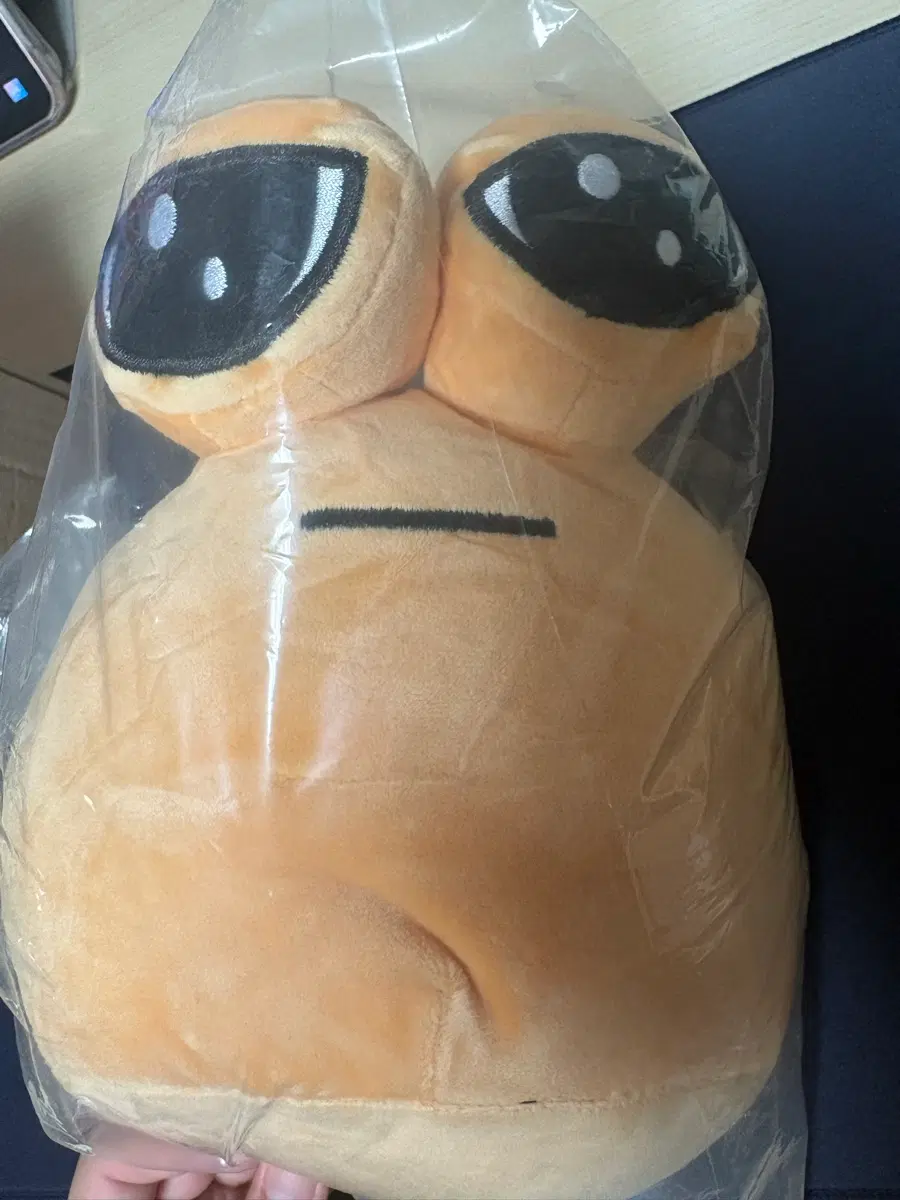 포우 인형