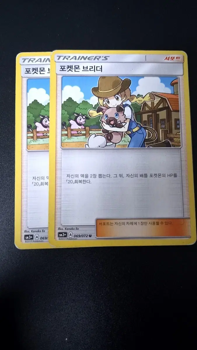 포켓몬 카드 포켓몬 브리더