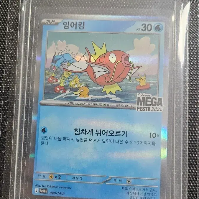 여러가지 포켓몬 카드 가격제시
