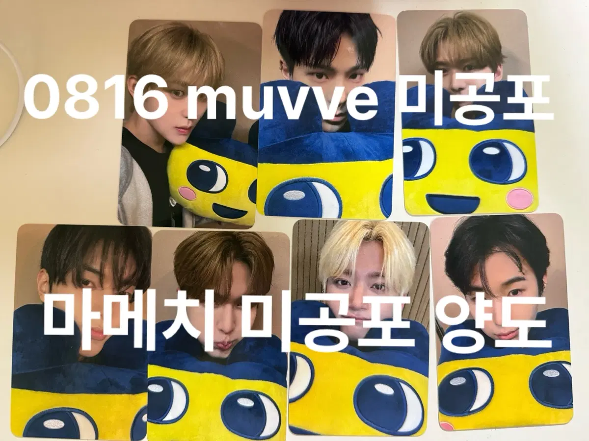 WHIB/휘브 : 마메치 미공포 양도