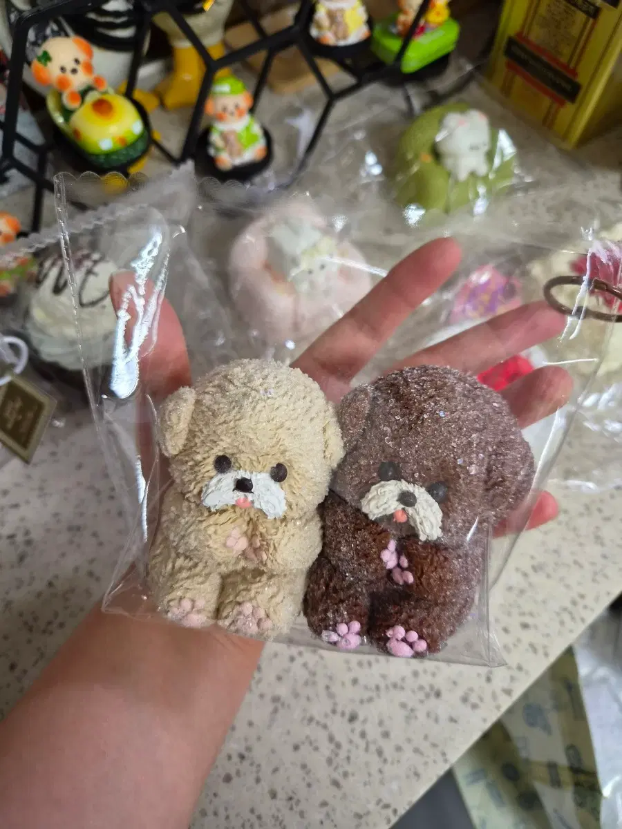 강아지 말랑이 세트