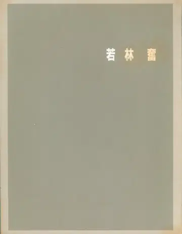 도록 와카바야시 이사무 와카바야시 이사무전 오늘의 작가