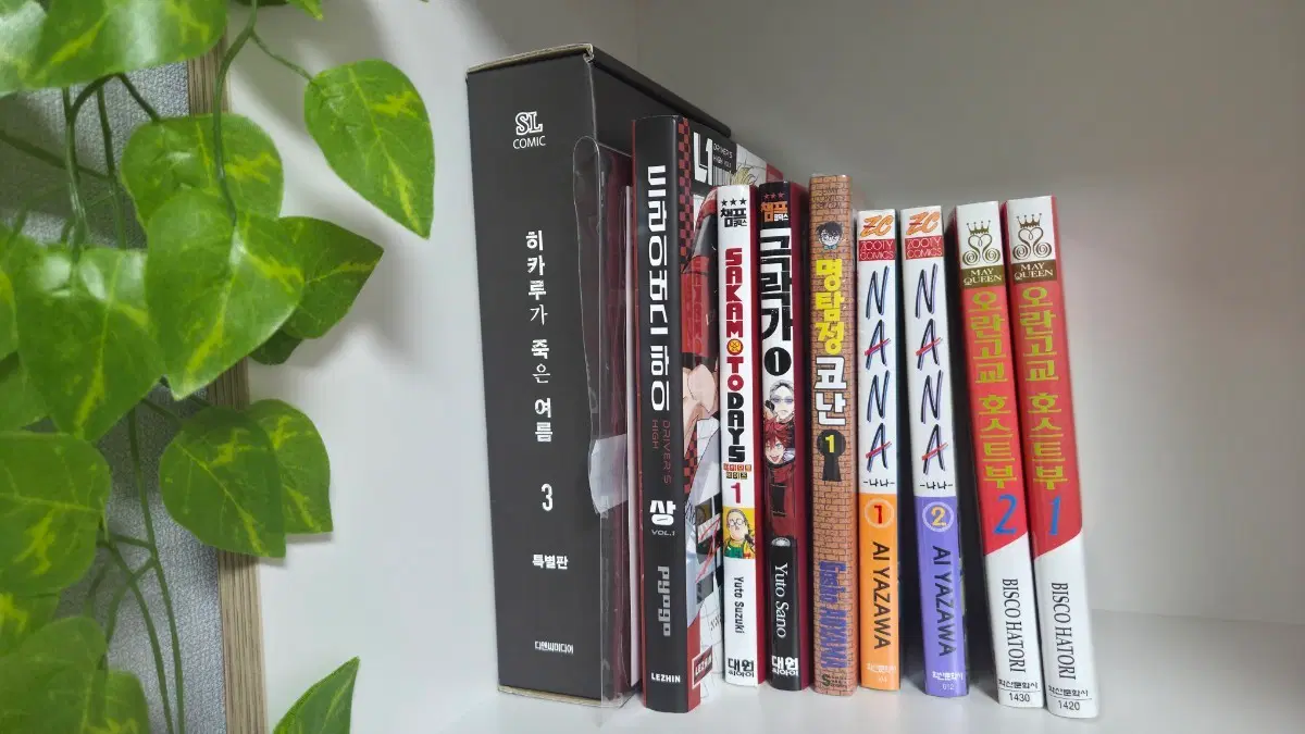 도서양도합니다!오란고교,나나,코난,극락가,사카모토데이즈,히카루가죽은여름,드라이리버스하이