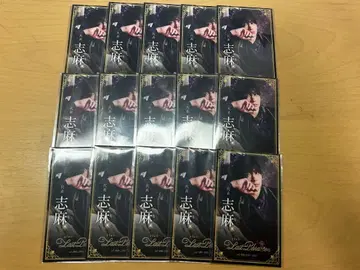 시마 폴라로이드 대표