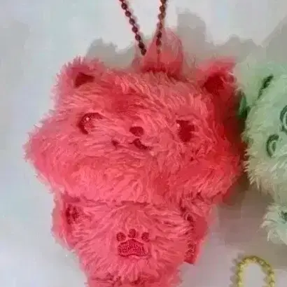 위시 컬러돌 컬러 위시돌 시오닝