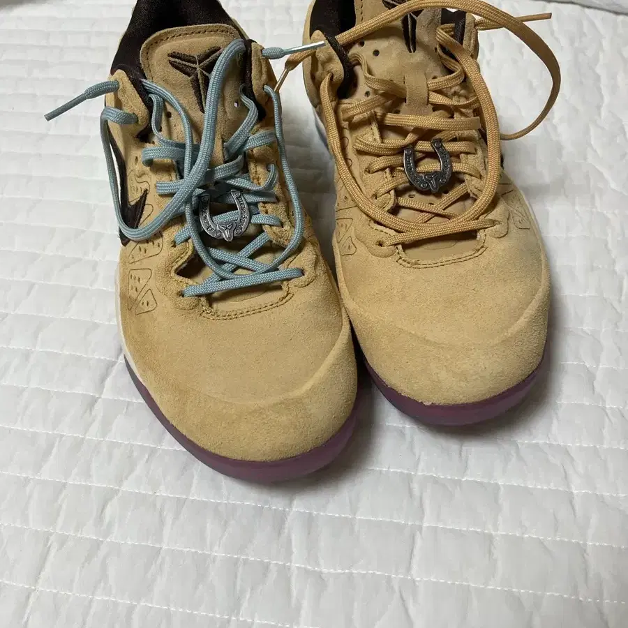코비8 270 1회착 풀박