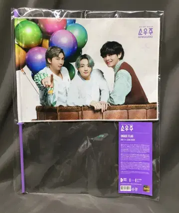 BTS 2021 머스터 소우주 RM/정국/뷔 이미지 플래그