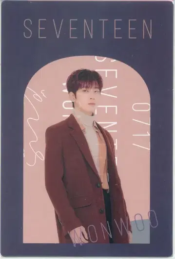 SEVENTEEN SEVENTEEN WINTER KUJI WONWOO 클리어 카드 엽서 세트 D상