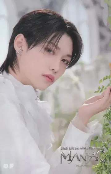 StrayKids 2023 MANIAC ENCORE inJAPAN FELIX 스티커 A