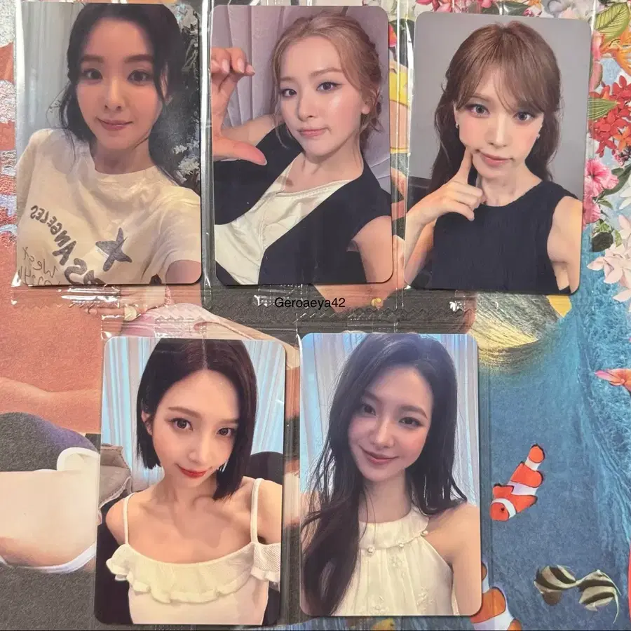 Red Velvet 레드벨벳 Surfin' Boy 케타포 대면팬싸 포카
