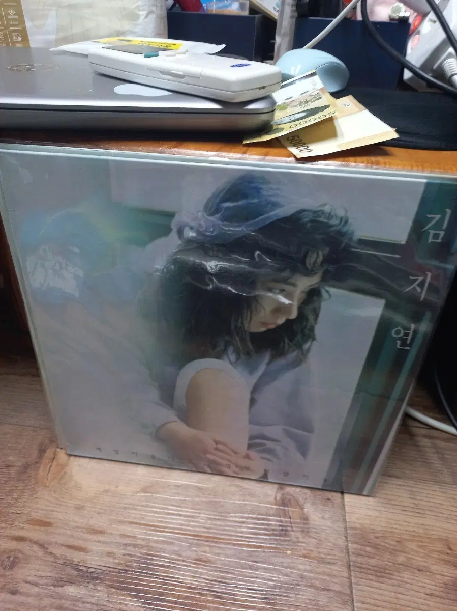 김지연 lp