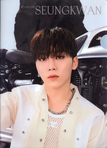 SEVENTEEN Face The Sun SEUNGKWAN 클리어 파일