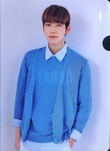 SEVENTEEN 2nd CARAT KIT 원우 클리어 파일