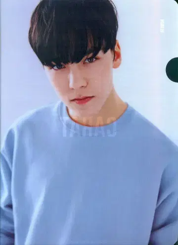 SEVENTEEN 2nd CARAT KIT VERNON 클리어 파일