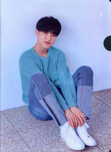 SEVENTEEN 2nd CARAT KIT HOSHI 클리어 파일