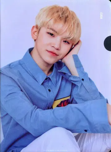 SEVENTEEN 2nd CARAT KIT WOOZI 클리어 파일