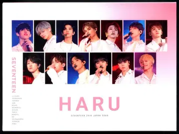 세븐틴 하루 2019 재팬 투어