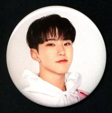 SEVENTEEN 2023 CARAT LAND HOSHI LUCKY DRAW 캔뱃지