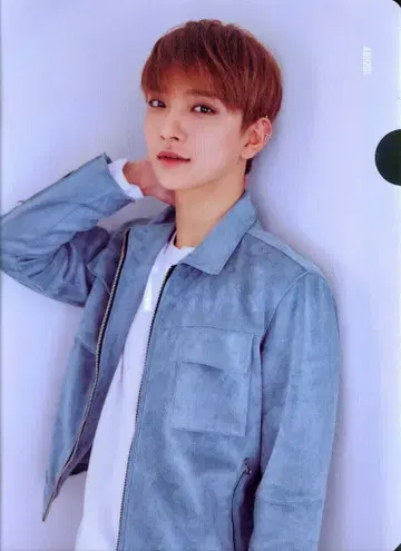 SEVENTEEN 2nd CARAT KIT JOSHUA 클리어 파일