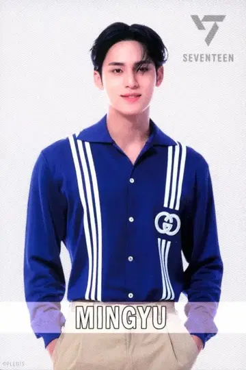 SEVENTEEN 2022 SEVENTEEN KUJI MINGYU 스탠드 비주얼 카드 E상