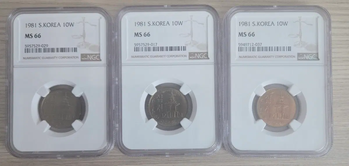 1981년, 10원, 십원, 주화 3개, MS66, NGC, 완전미사용,개당가격
