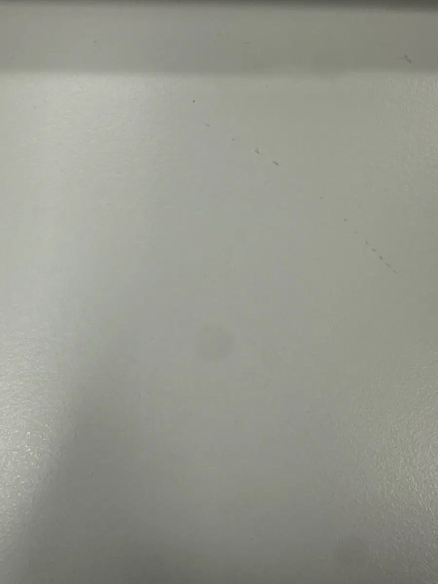 스컬판다 사요