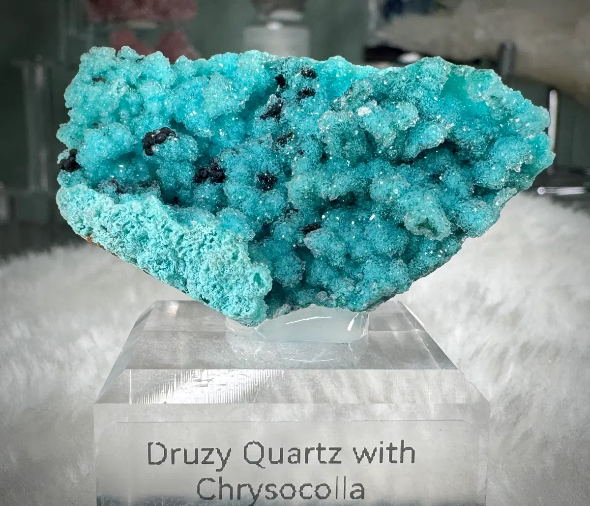 콩고 루붐바시 드루지 석영 공생 Chrysocolla