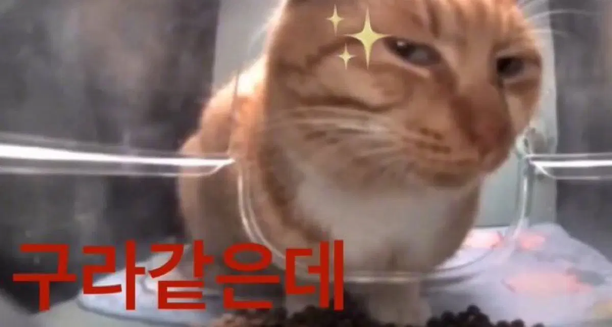 마더텅 독서 문학