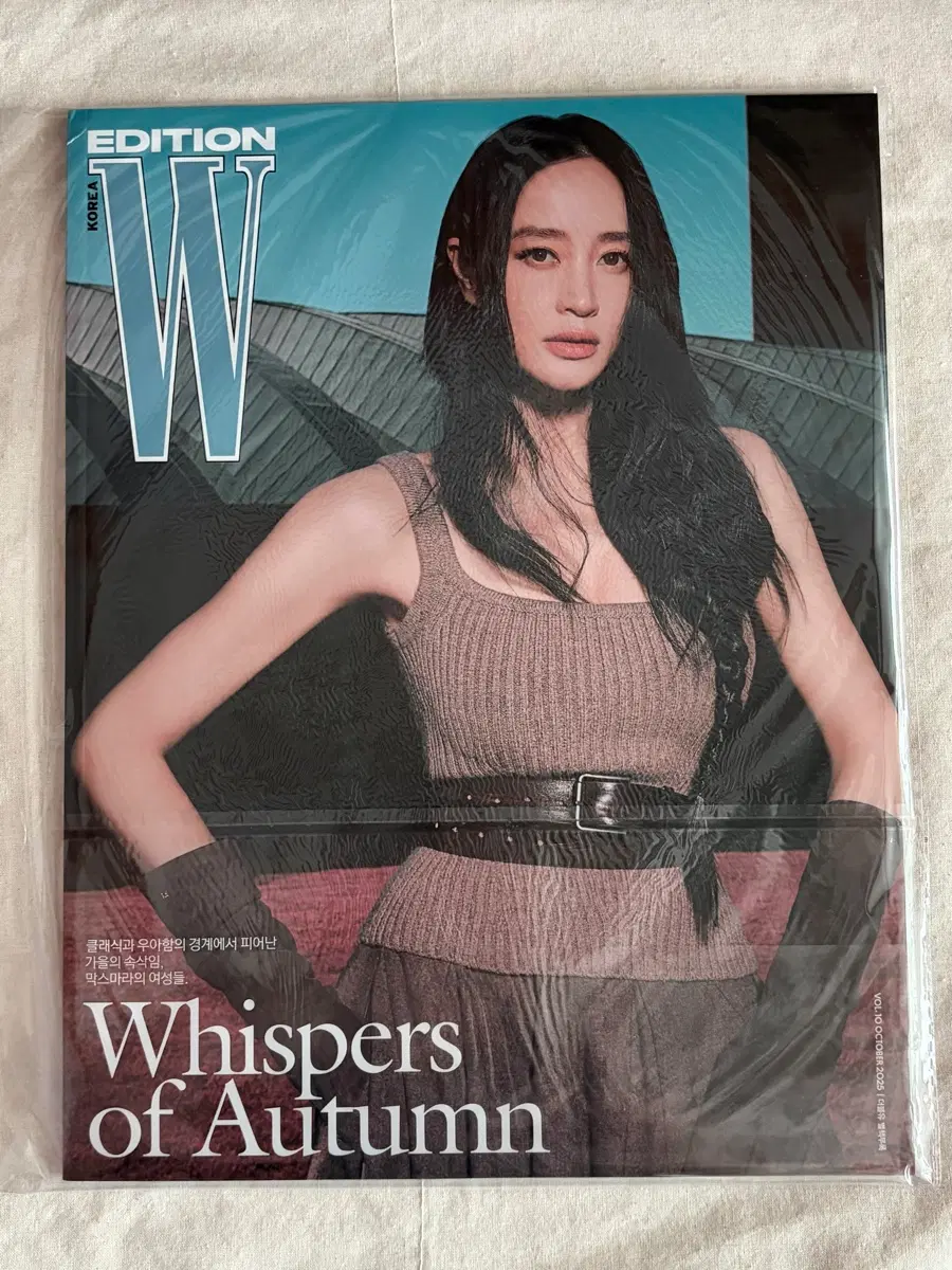 김혜수 더블유 잡지