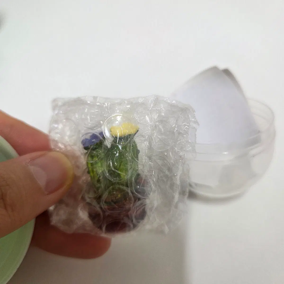 선인장 가챠 미개봉 식집사