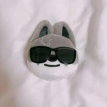 Stray Kids RUN IT JAPAN 페이스 키링 울프찬