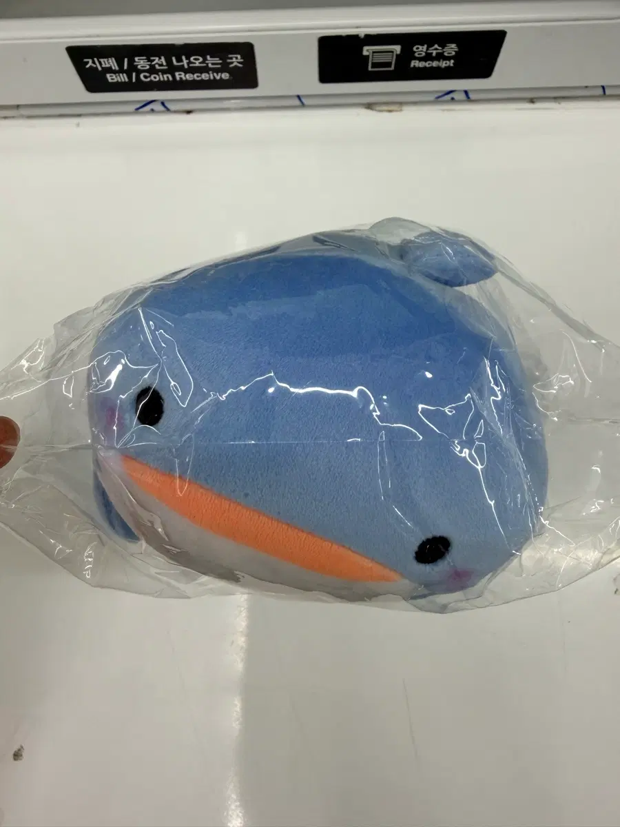 돌고래 모찌모찌 인형
