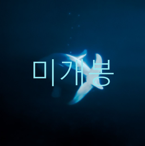 [미개봉] 겸 (GYE0M) - 우리는 자주 표류하겠지만 (CD)