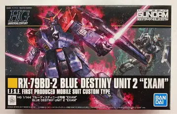 BANDAI SPIRITS HGUC 블루 디스티니 2호기 EXAM 208