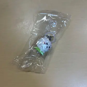치이카와 메지루시 액세서리