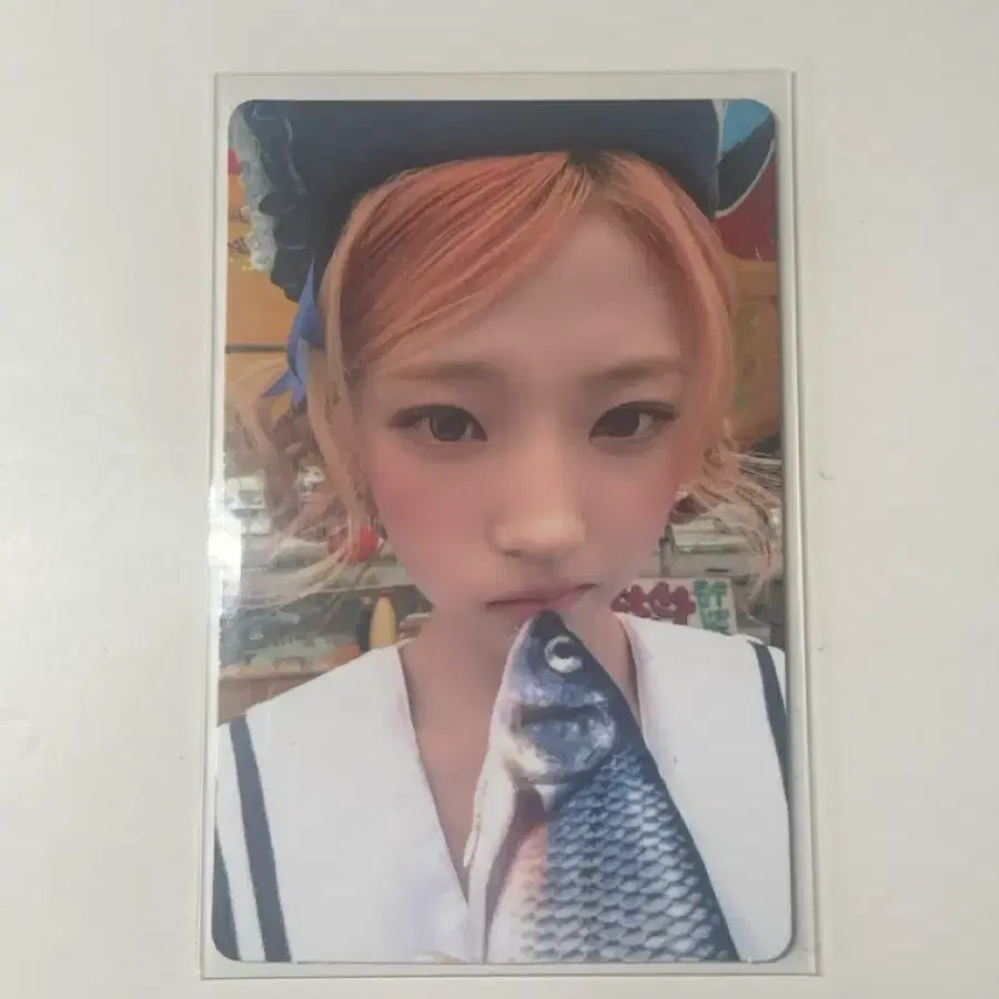 하츠투하츠 하투하 스텔라 레몬탱 쥬얼케이스 버전 양도 교환