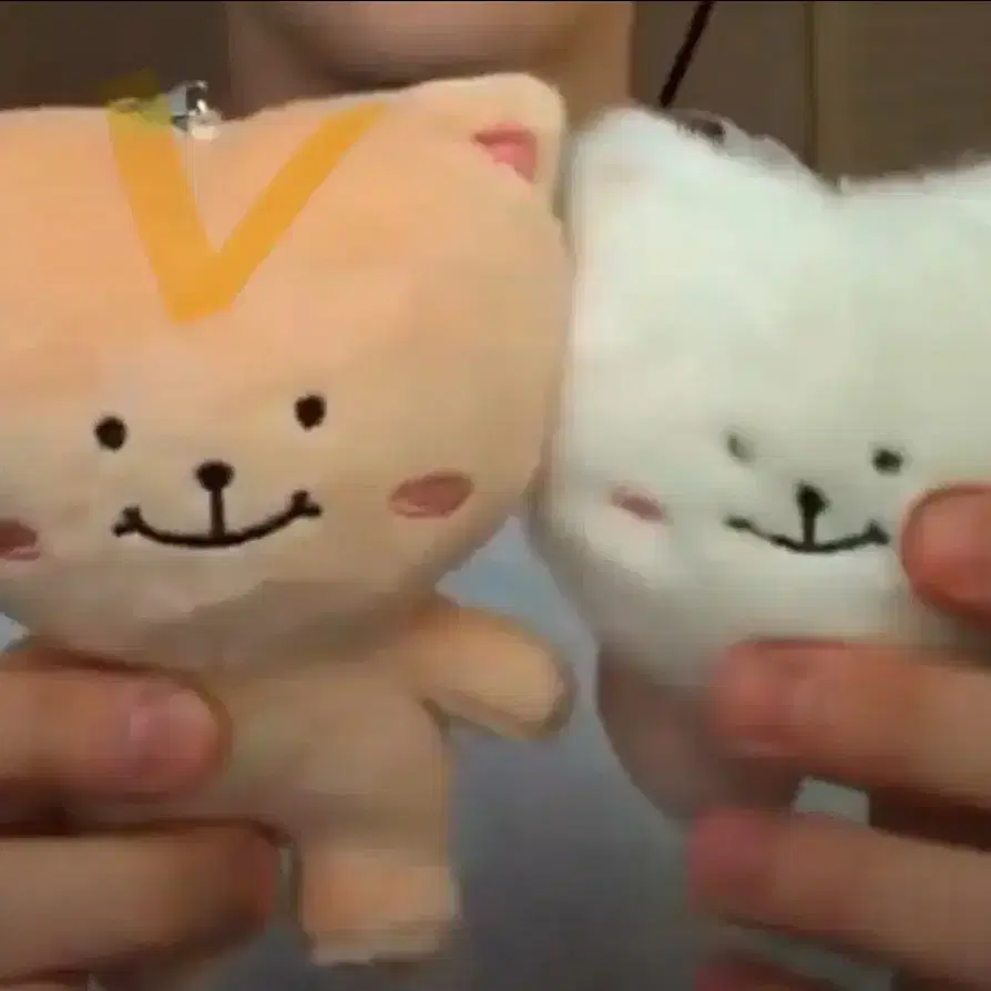 황도냥이 황민현키링 구해요