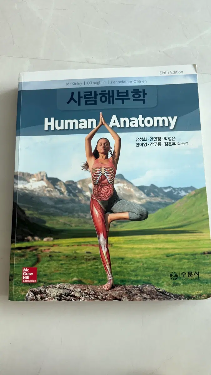 인체해부학