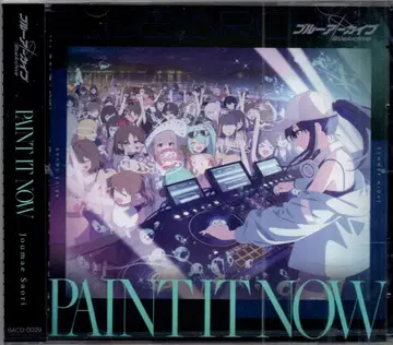 게임 CD PAINT IT NOW