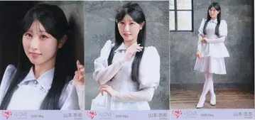 =LOVE 2026년 5월 랜덤 브로마이드 야마모토 안나 2026 May ( [극약중독] MV 의상) 3종 컴프