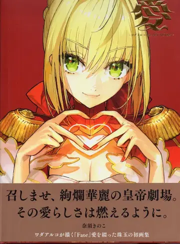애니플렉스 와다 아루코 아이 -와다 아루코 Fate ART WORKS- (오비 포함)
