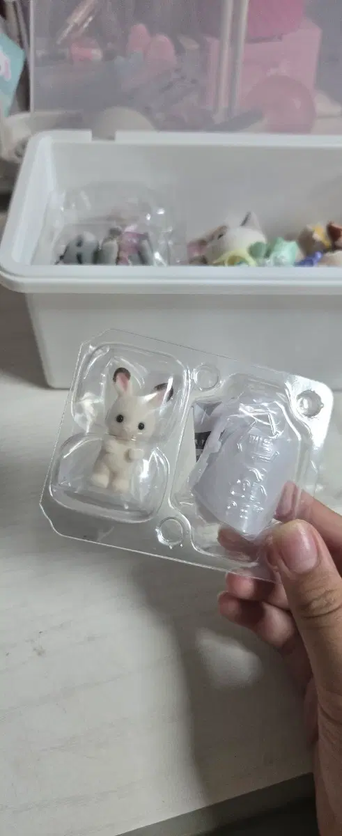 실바니안 유령토끼