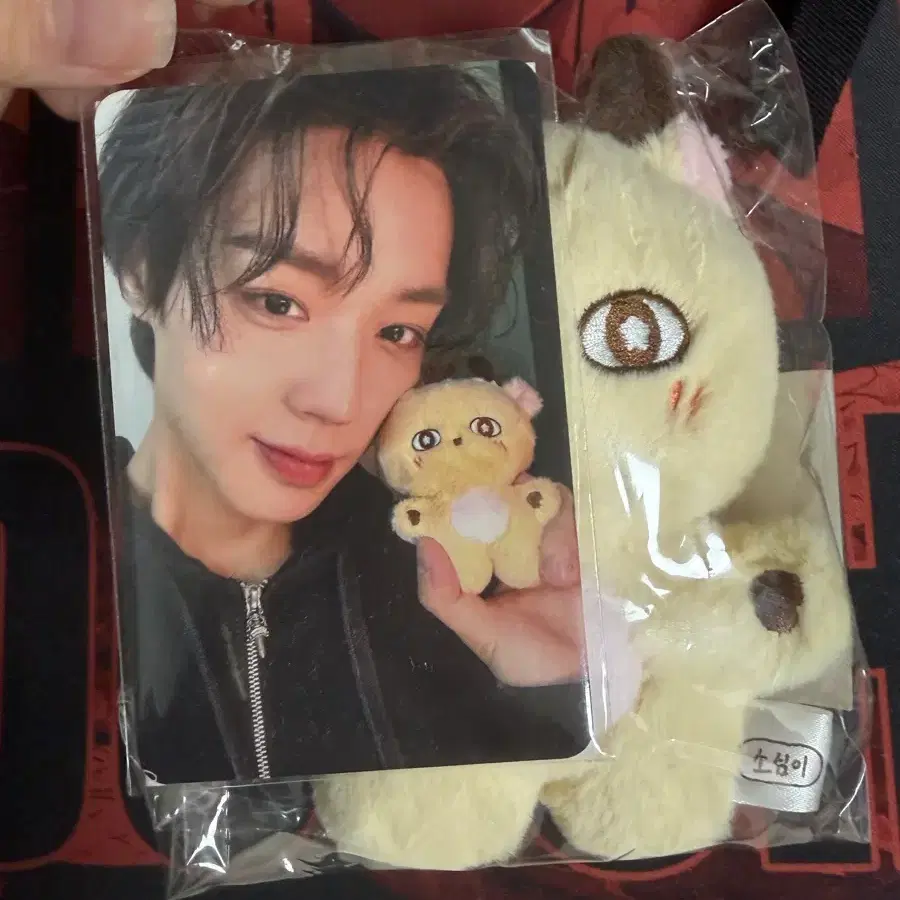 박지훈 소심이 인형 + 포카 판매