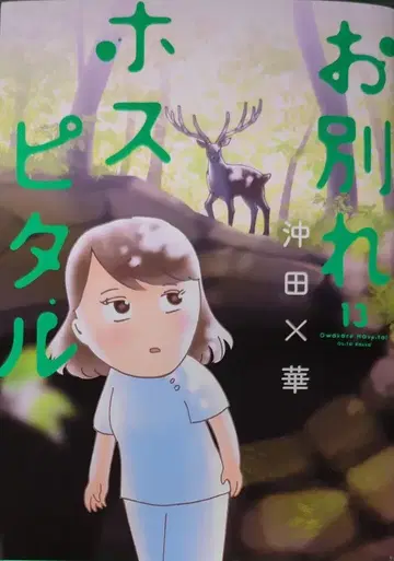 소학관 빅 코믹스 오키타 x 하나 오별레 호스피탈 13
