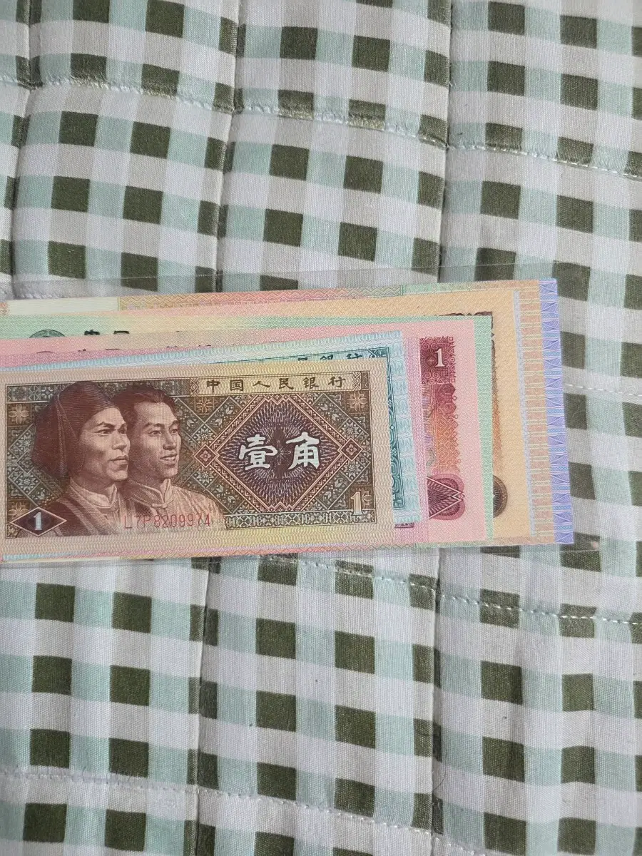 중국돈지폐 세트