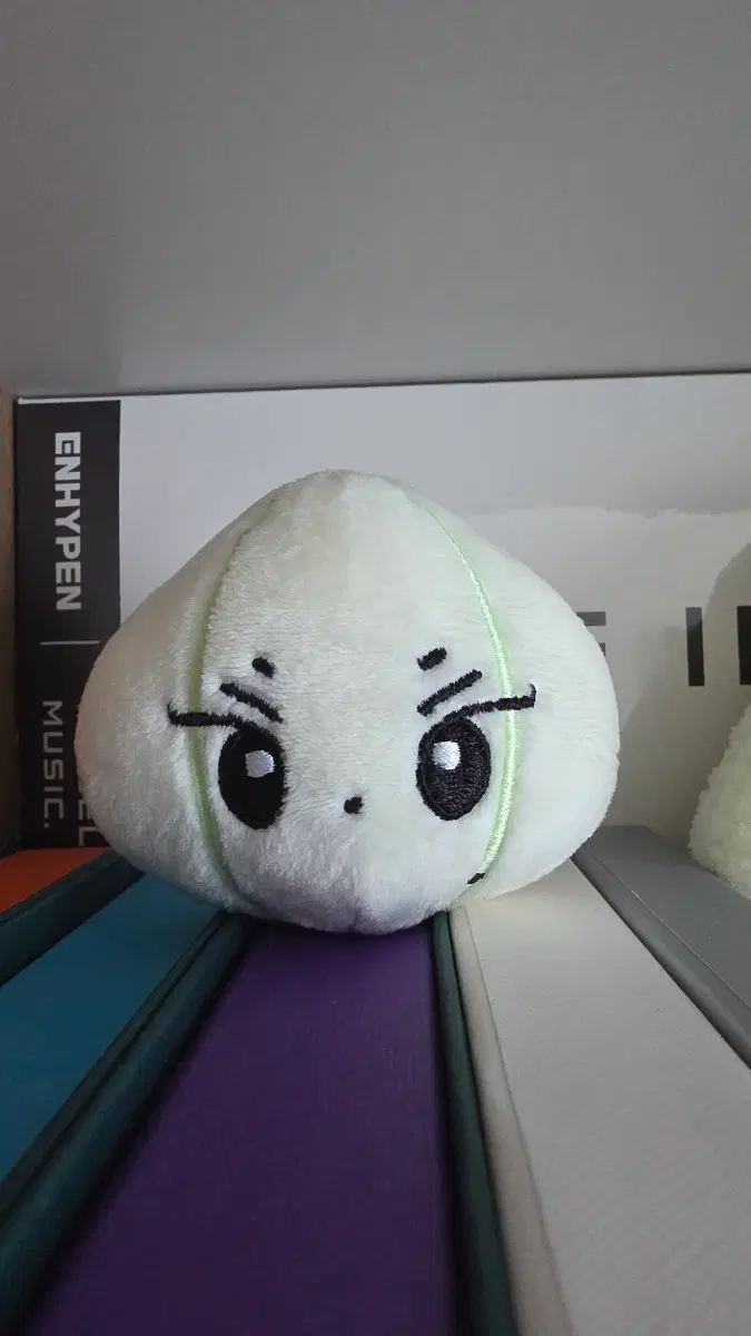 양파 양정원 인형 엔하이픈 enhypen