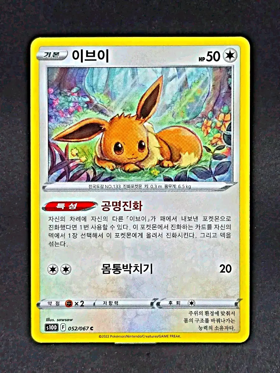 포켓몬카드 귀여운 이브이 세트