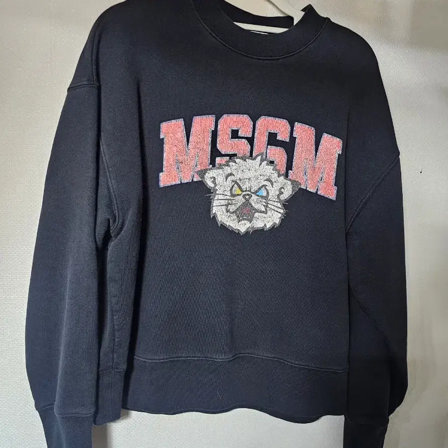 MSGM 맨투맨