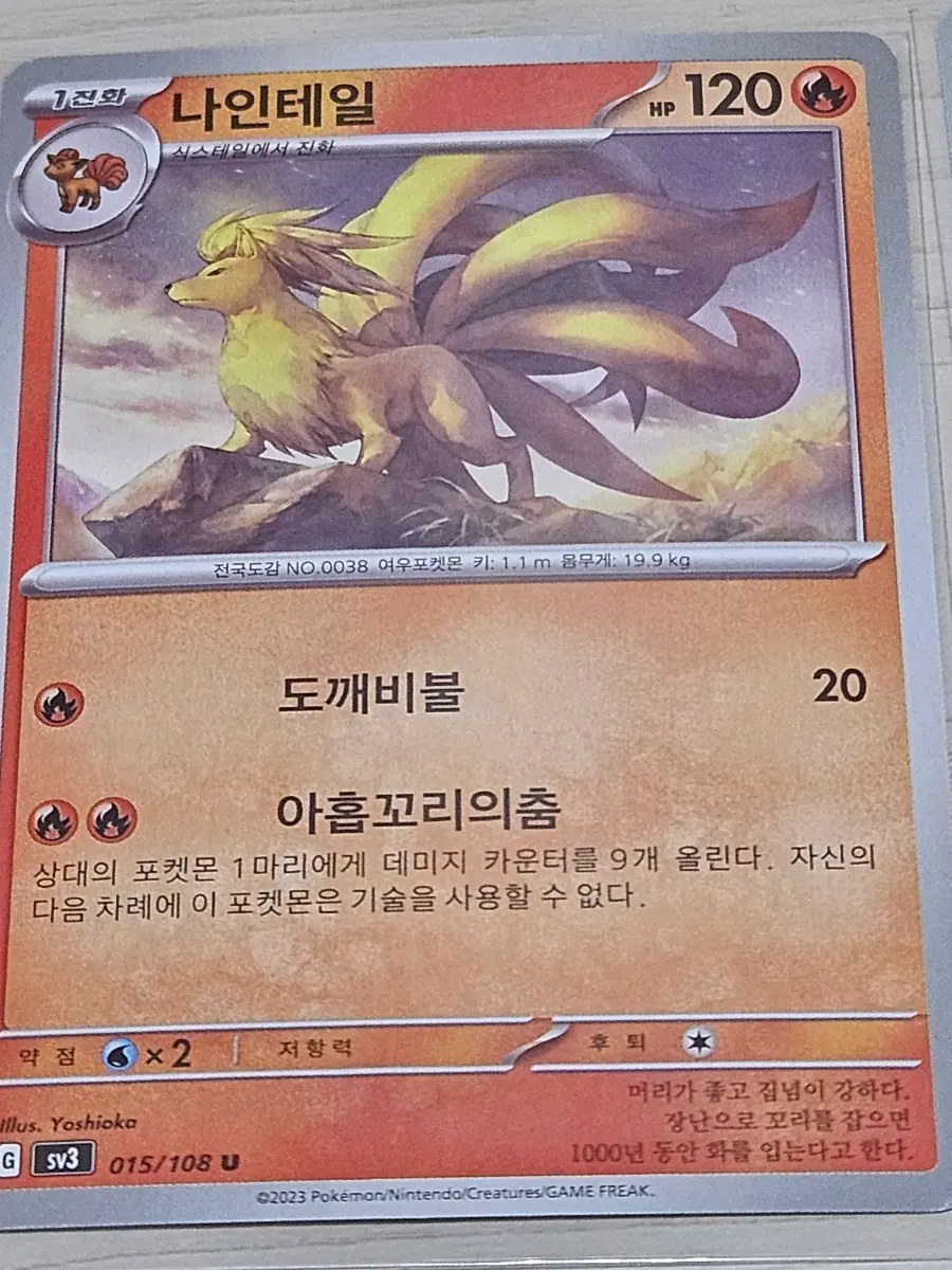 [최저가] 포켓몬 카드 나인테일
